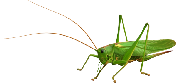 Лунтик герои кузнечик