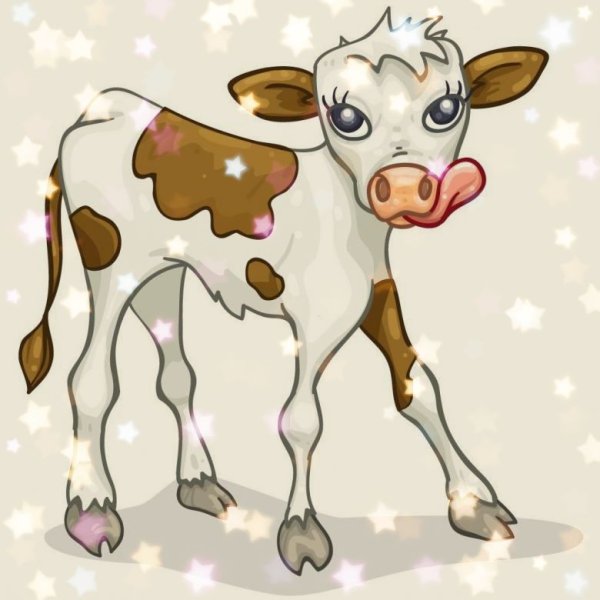 Теленок на белом фоне