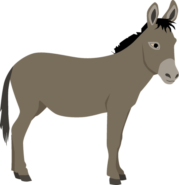 Осёл клипарт