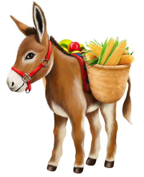 Ослик с поклажей