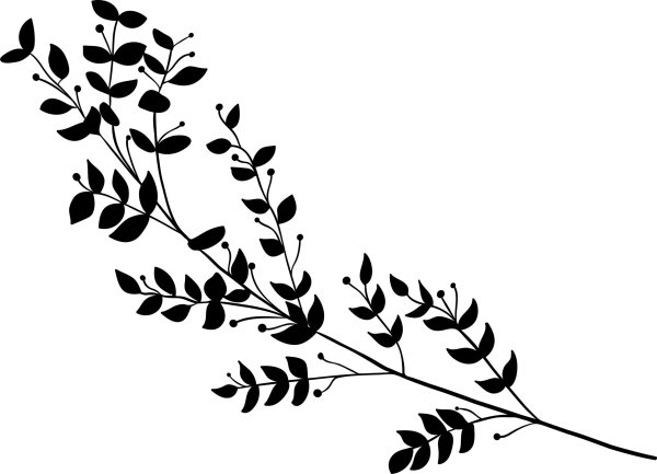 Клипарт черно белый