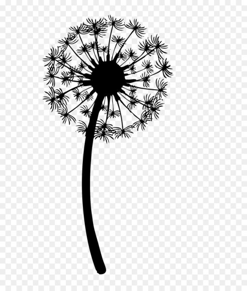 Одуванчик черно белый