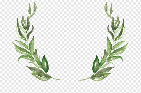 Ветка зелени