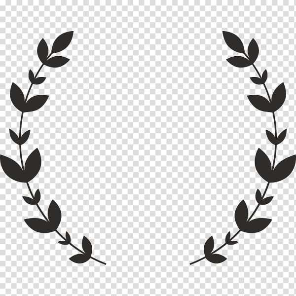 Веточка черно белая