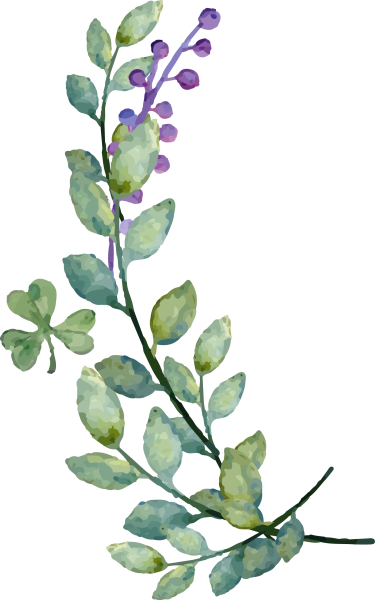 Акварельные листики