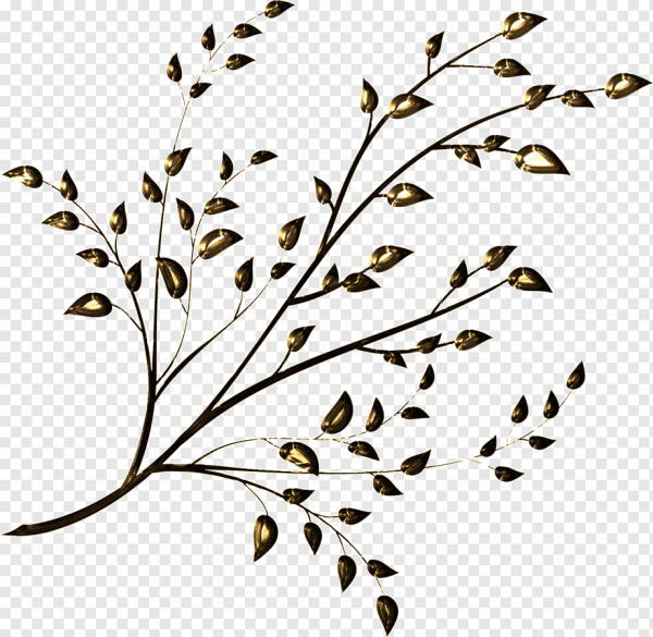 Веточка на прозрачном фоне