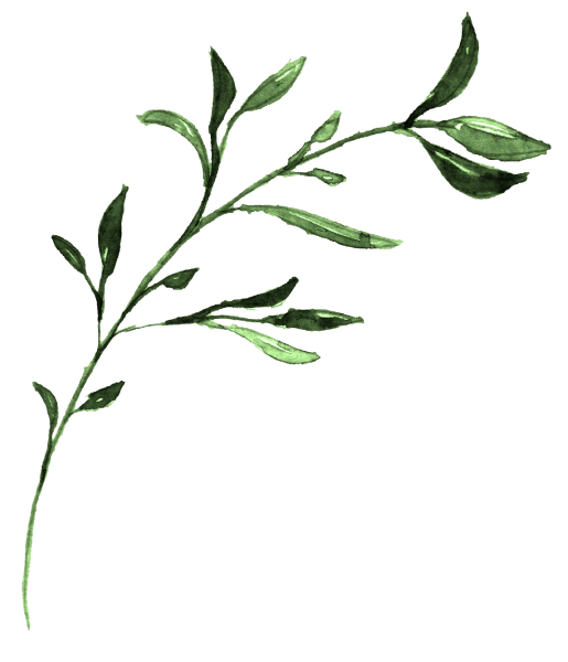 Веточка акварель