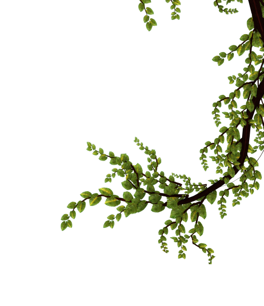 Ветка на прозрачном фоне