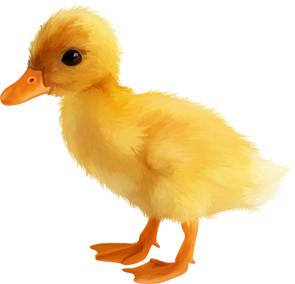 Утенок для детей