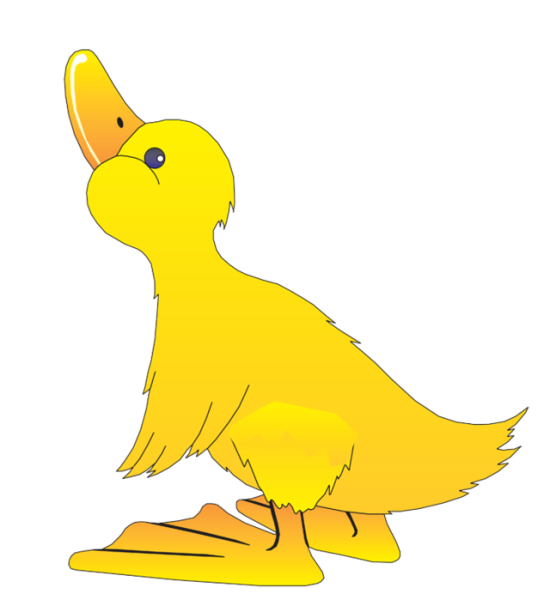 Утенок на прозрачном фоне