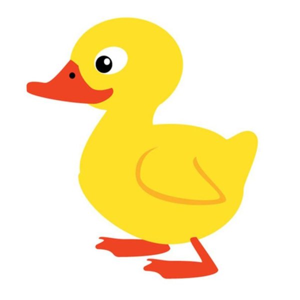 Уточки в детский сад