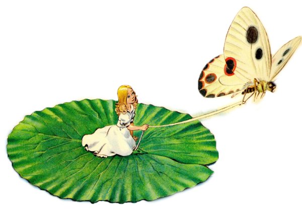 Мотылек из Дюймовочки