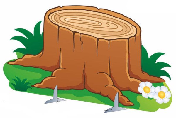 Пеньки для детей