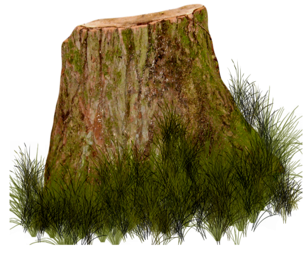 Мох на белом фоне