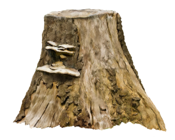 Пеньки на прозрачном фоне