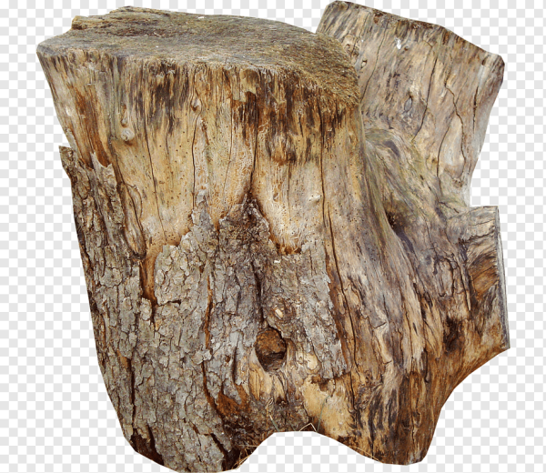 Пеньки на прозрачном фоне