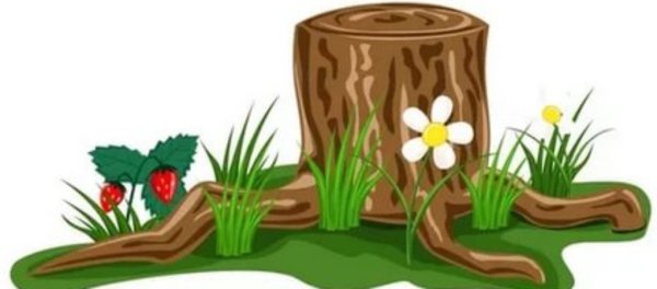 Полянка с пеньками для детей