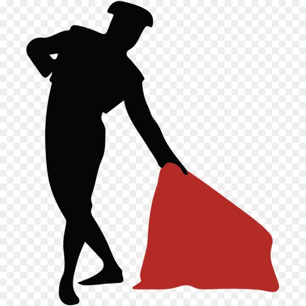 Символ Испании тореадор