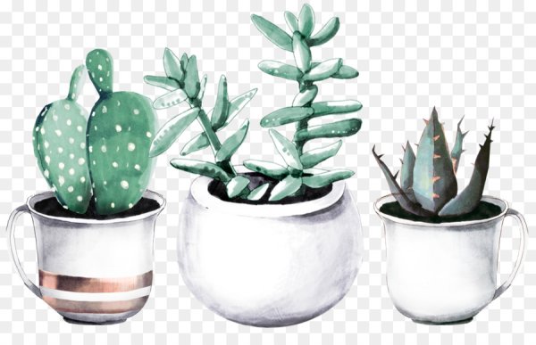 Кактус в горшке акварелью