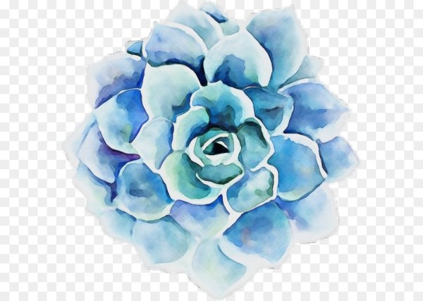 Бирюзовые Акварельные цветы