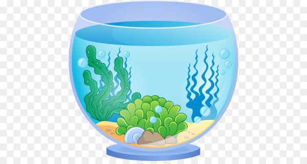 Аквариум без рыб