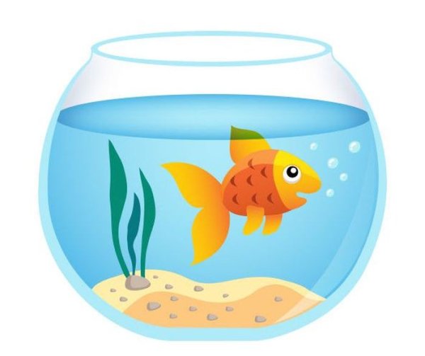 Аквариум для детей