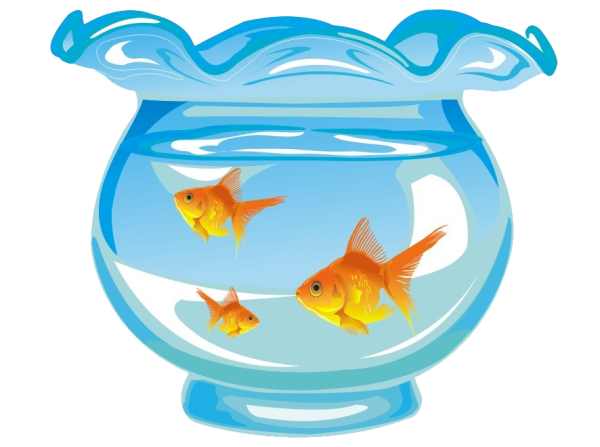 Рыбы в аквариуме для детей