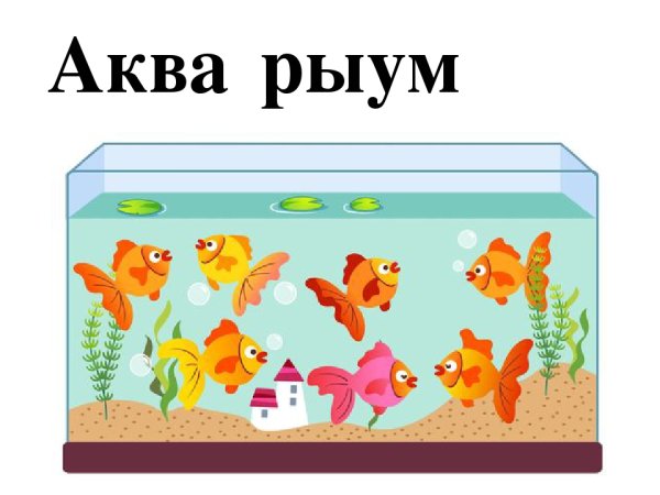 Рыбы в аквариуме для детей