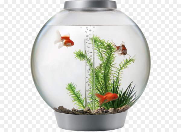 Аквариум с рыбками