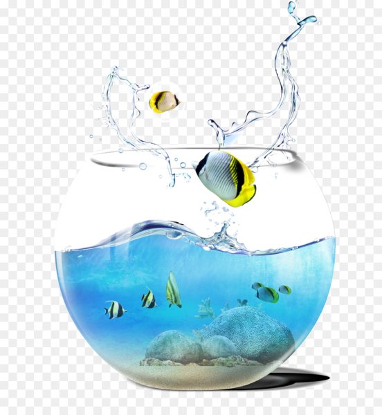 Аквариум для ФШ