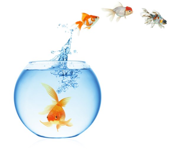 Аквариум с рыбками