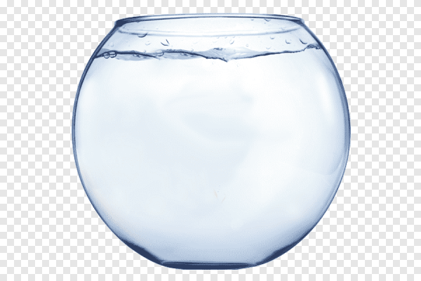 Круглый аквариум с водой