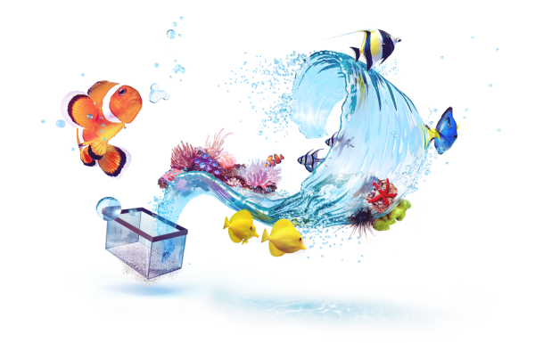 Подводный мир на белом фоне