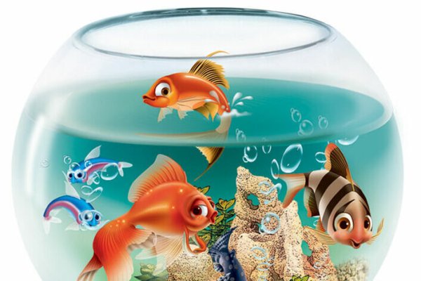 Рыбы в аквариуме