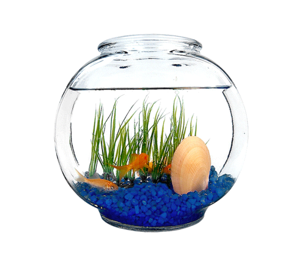 Аквариум с рыбками