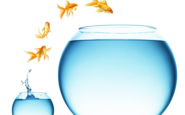 Вода в аквариуме