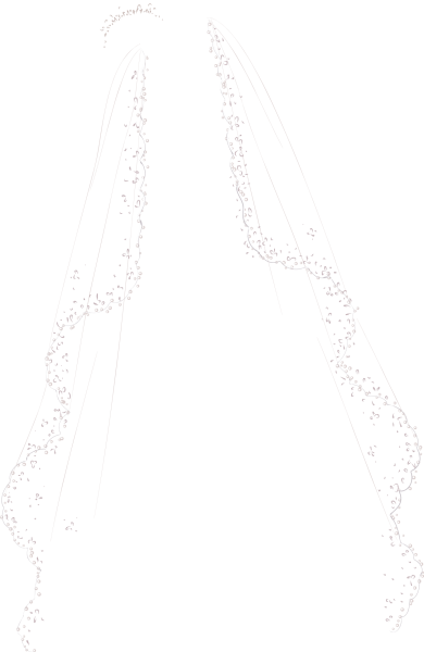 Фата невесты на прозрачном фоне