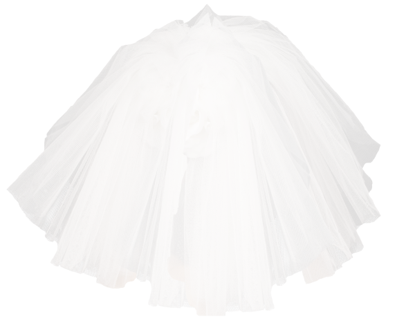 Фата невесты на прозрачном фоне