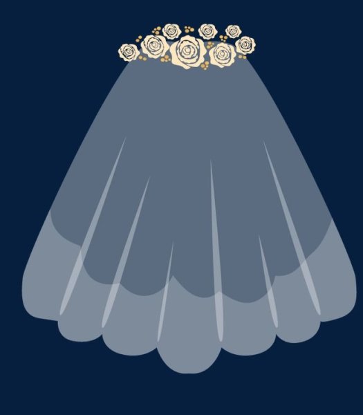 Рисунок фаты