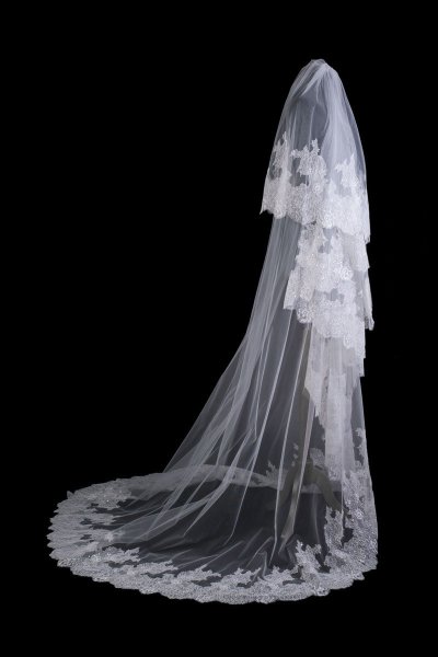 Развивающаяся фата