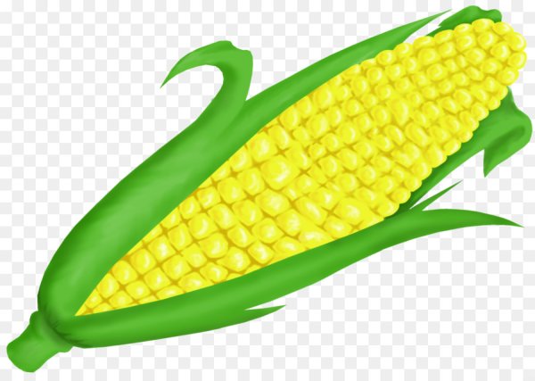 Кукуруза на белом фоне