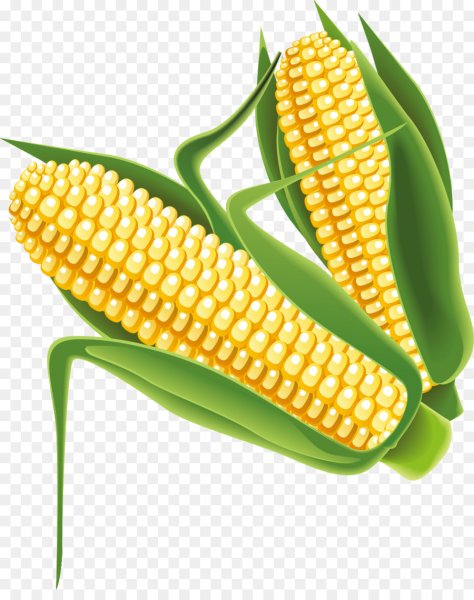 Кукуруза Corn