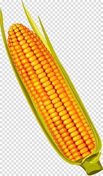 Желтая кукуруза