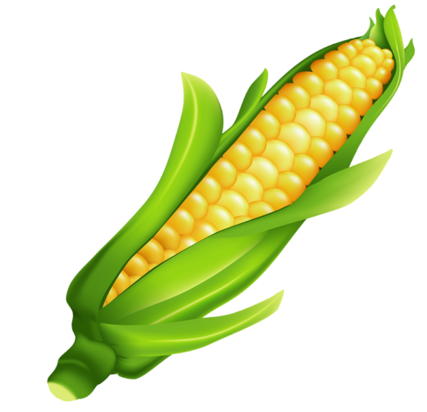 Овощи по отдельности кукуруза