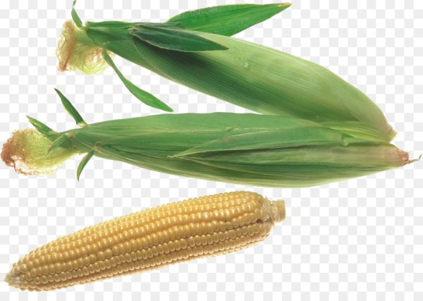 Кукуруза это овощ