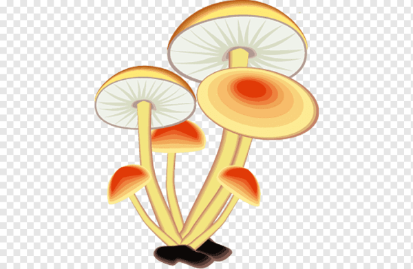 Опята мультяшные