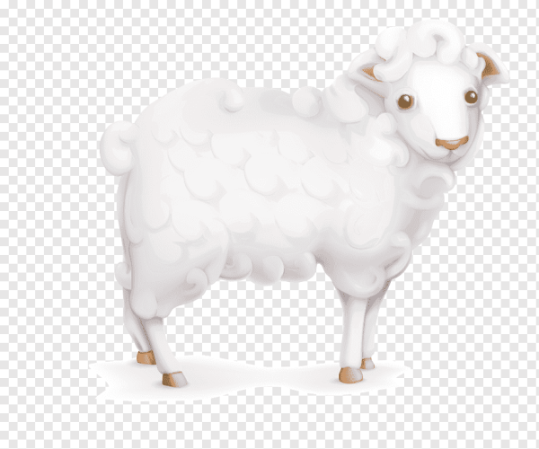 Овечка без фона