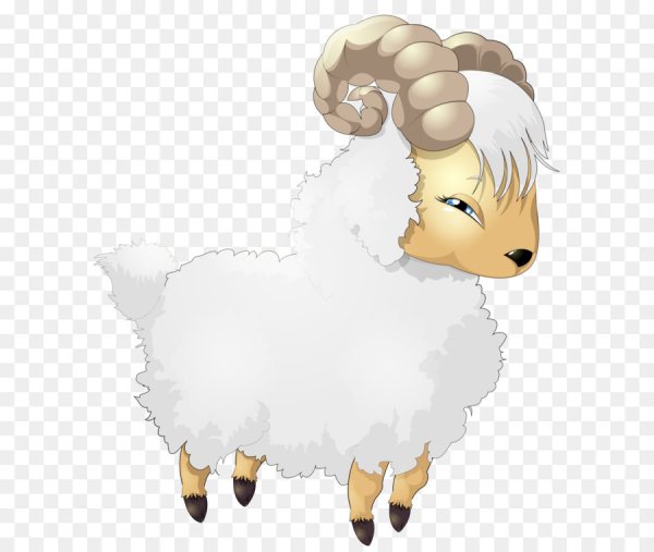 Овечка на белом фоне