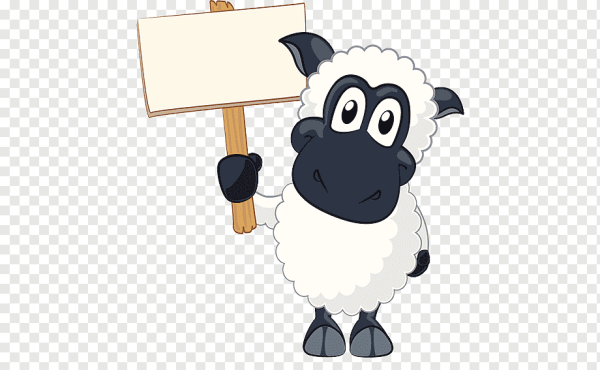 Овечка с табличкой