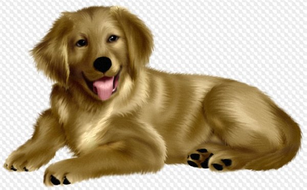 Собака на прозрачном фоне
